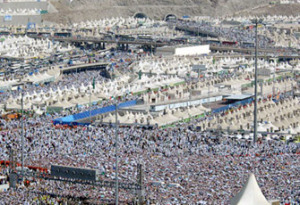 wukuf-arafah-2010