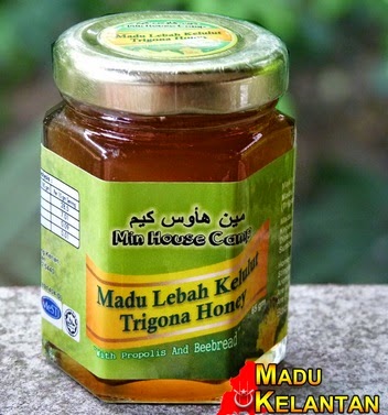 madu kelulut